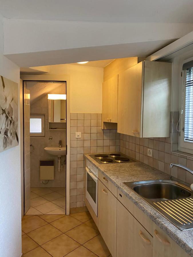 Casa Sibylle Studio - Piccolo Paradiso Minusio 外观 照片