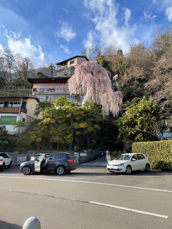 Casa Sibylle Studio - Piccolo Paradiso Minusio 外观 照片